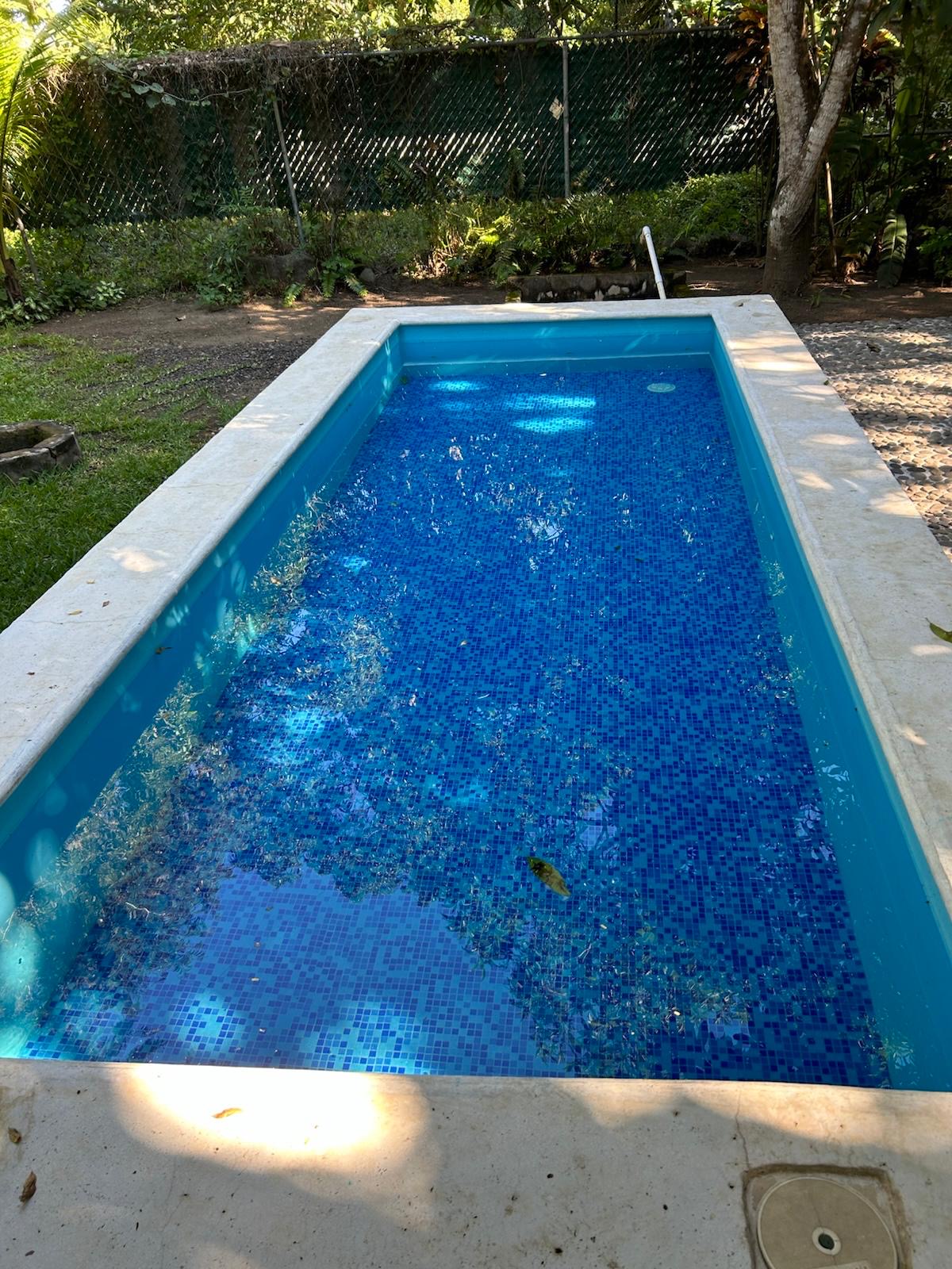 Alberca y área verde
