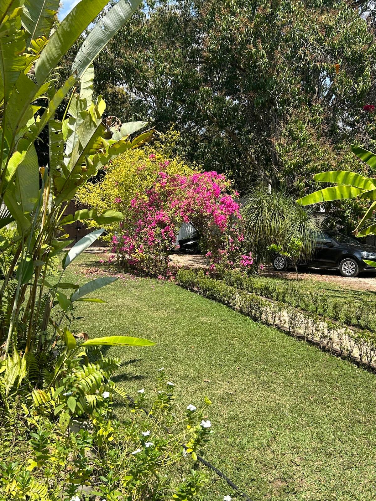 Jardín colorido con flores