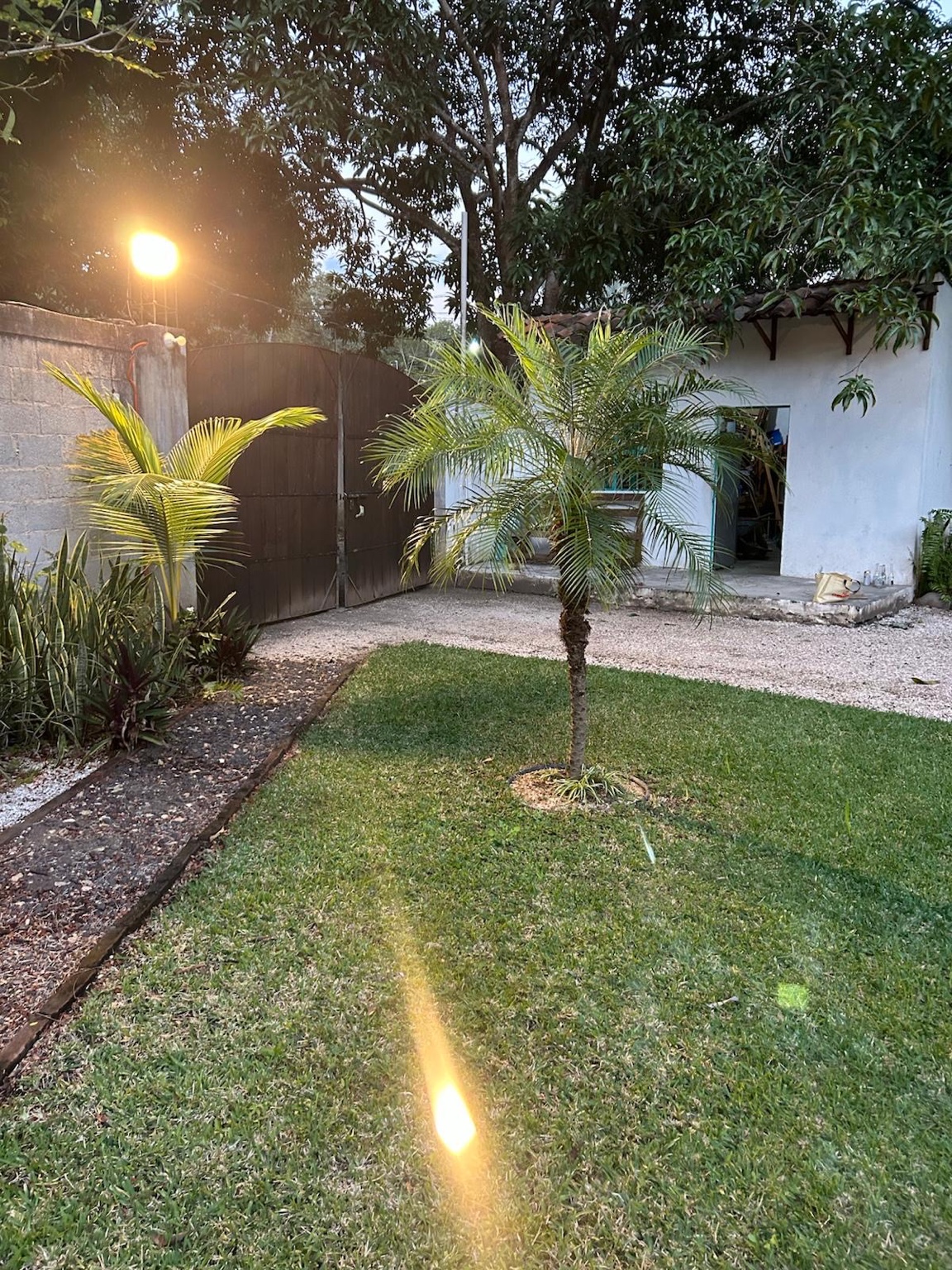Jardín y estacionamiento
